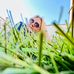 Anna Sokolowska - Facebook