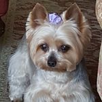 Anna Spektor - @munya2154 - Instagram