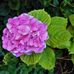 ANNA SPINELLI - Facebook