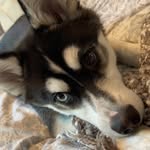 Anna Stacey - @mables_momma1974 - Instagram