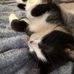 Anna Lynn Stack - Facebook