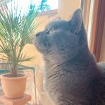 Anna Staiger - Facebook