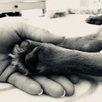 Anna Stalter - @original_ananas_ - Instagram