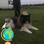Anna Stamper - @stamper738 - Instagram