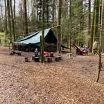 Anna Staub - @waldkinder_baar - Instagram