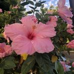 Annalena Staub - Facebook