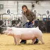 Anna Steiner💗 - @pig_lover2020 - TikTok