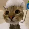 Anna.Stephens - @melanaml91u - TikTok