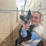 Anna Stevenson - @midwestern_llama - Instagram