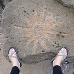 Anna Helena Stoller - @stollerannahelena - Instagram