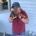 Anna Strachan Bright - @annas_bright_life - Instagram
