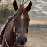 Anna Strasser - @dukethedun - Instagram