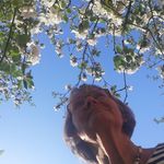 Anna Wall-Strasser - @annawallstrasser - Instagram