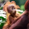 anna, i think? - @anna.conda_strauss - TikTok
