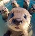 Anna Sutter - Facebook