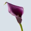 annasutter652 - @annasutter652 - TikTok