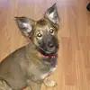 annaswanberg1 - @annaswanberg1 - TikTok