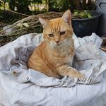 Anna Swart - @klojo56 - Instagram