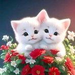 Anna Swart - Facebook