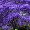 Anna Swarts - @anna.swarts5 - TikTok