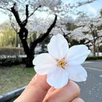 Annasweetsugar - @annasweetsugar - Instagram