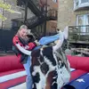 anna swenson - @annaswensonn - TikTok