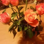 Anna Swider - @anna.swider.7902 - Instagram