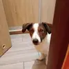 Anna Świderska - @anna.widerska6 - TikTok