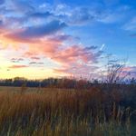 Anna Swinney - @cliftycreek_homestead - Instagram