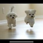 Anna Swope - @swope4846 - Instagram