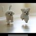 Anna Swope - Facebook