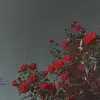 SydowAnna - @sydowanna - TikTok