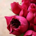 Anna Syed - Facebook