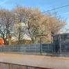 Anna Sylva - @annaesylva - TikTok