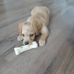 Anna Symonenko - Facebook