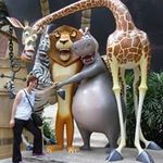 Anna Szeto - @szetoanna28 - Instagram