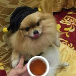 Annaszeto - @annaszeto7442 - Instagram