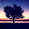 Anna_zydowicz - @anna_zydowicz - TikTok