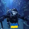 annaszyczewska522 - @annaszyczewska522 - TikTok
