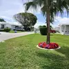 annataaltenor - @annataaltenor - TikTok