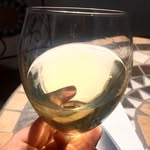 Anna Tacchini - @annatacchini - Instagram