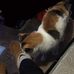 Anya Tackett - Facebook