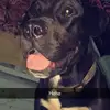 iM a FaThEr - @anna.tackett.1 - TikTok