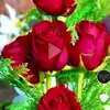 Ana Tadeo - @ana.tadeo - TikTok