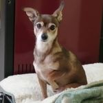 Anna tafuro - @tafuro35 - Instagram