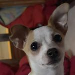 Anna Luperto Tafuro - @annataf8548 - Instagram