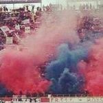 Tafuro Anna - @tafuroanna - Instagram