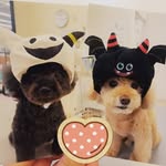Anna Takeda - @annatakeda - Instagram