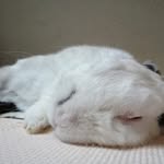 Anna Takeda - @anna.takeda.35110 - Instagram