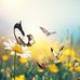Anna Tal - Facebook